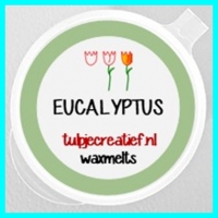 EUCALYPTUS