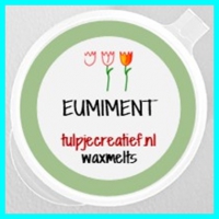 EUMIMENTMIX