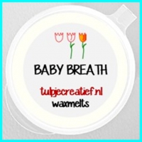 BABY'S BREATH
