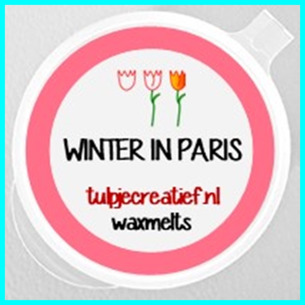 WINTER IN PARIS
