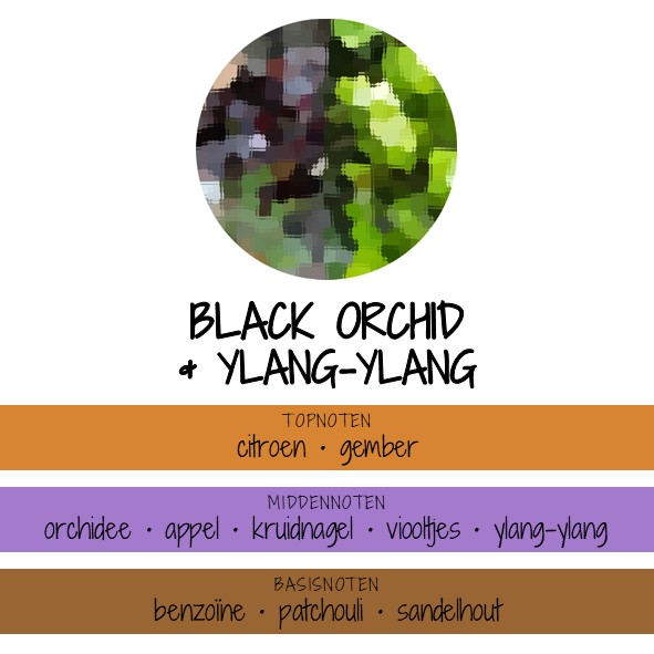 BLACK ORCHID<br> & YLANG-YLANG