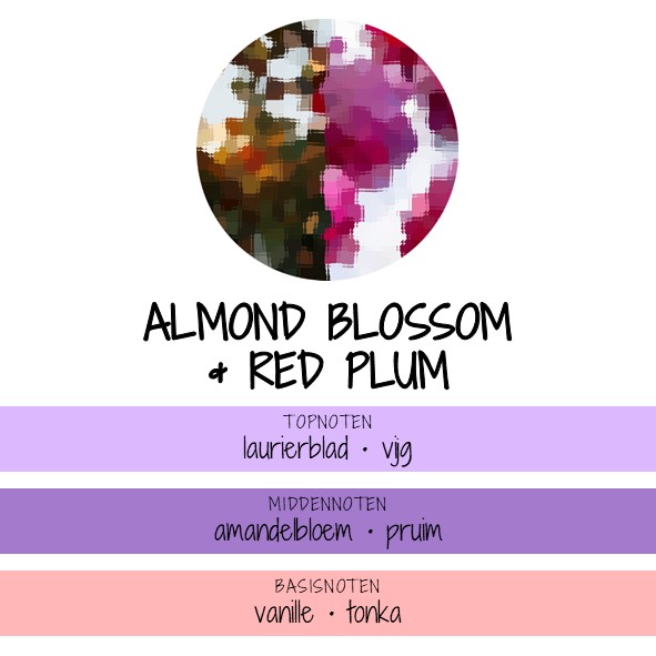 ALMOND BLOSSOM<BR> & RED PLUM