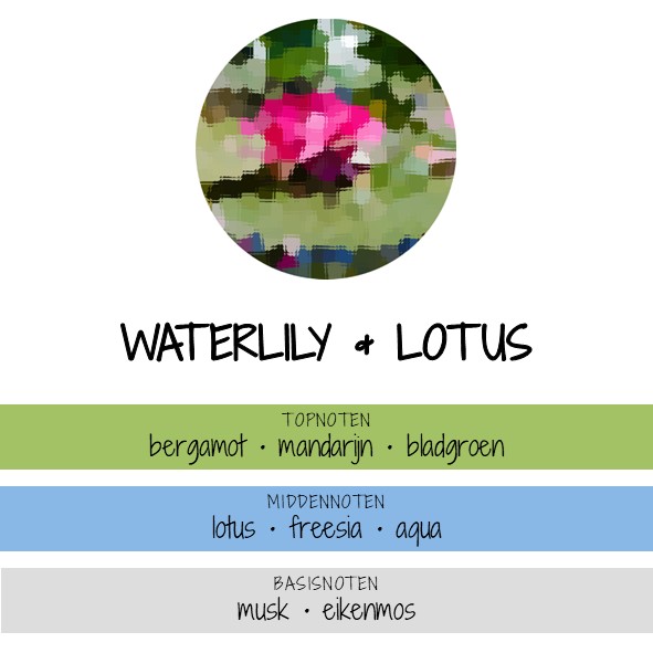 WATERLILY & LOTUS