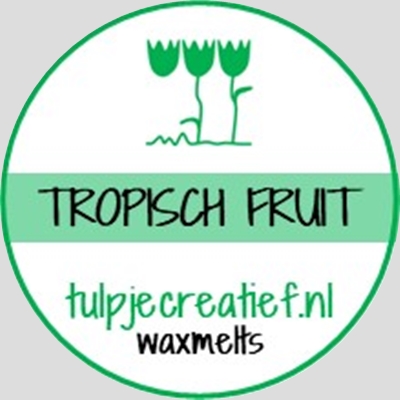 TROPISCH FRUIT